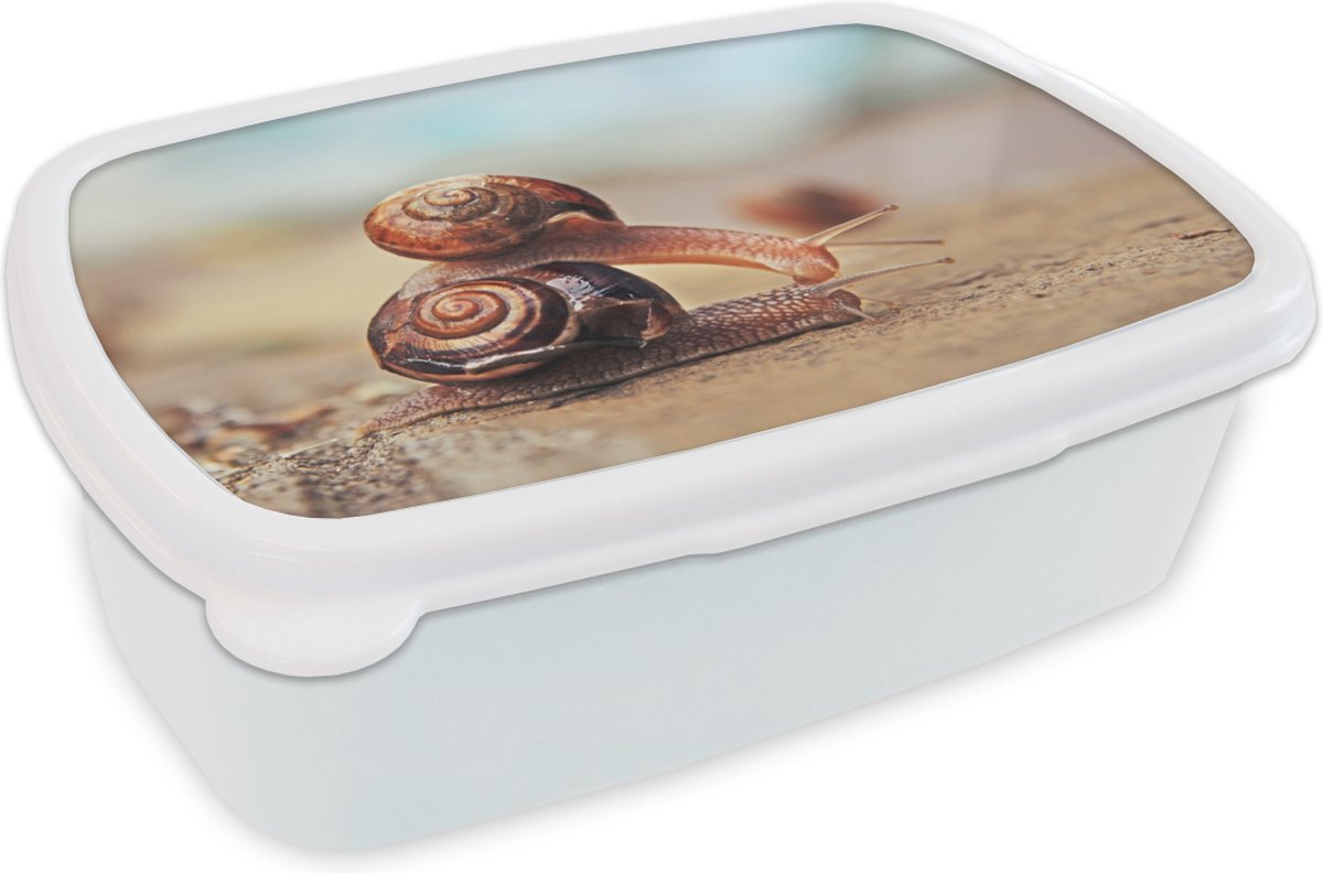 Broodtrommel Wit - Lunchbox - Brooddoos - Slakken - Steen - Dieren - 18x12x6 cm - Volwassenen