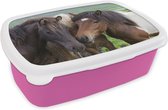 Broodtrommel Roze - Lunchbox - Brooddoos - Paarden - Dieren - Bruin - 18x12x6 cm - Kinderen - Meisje