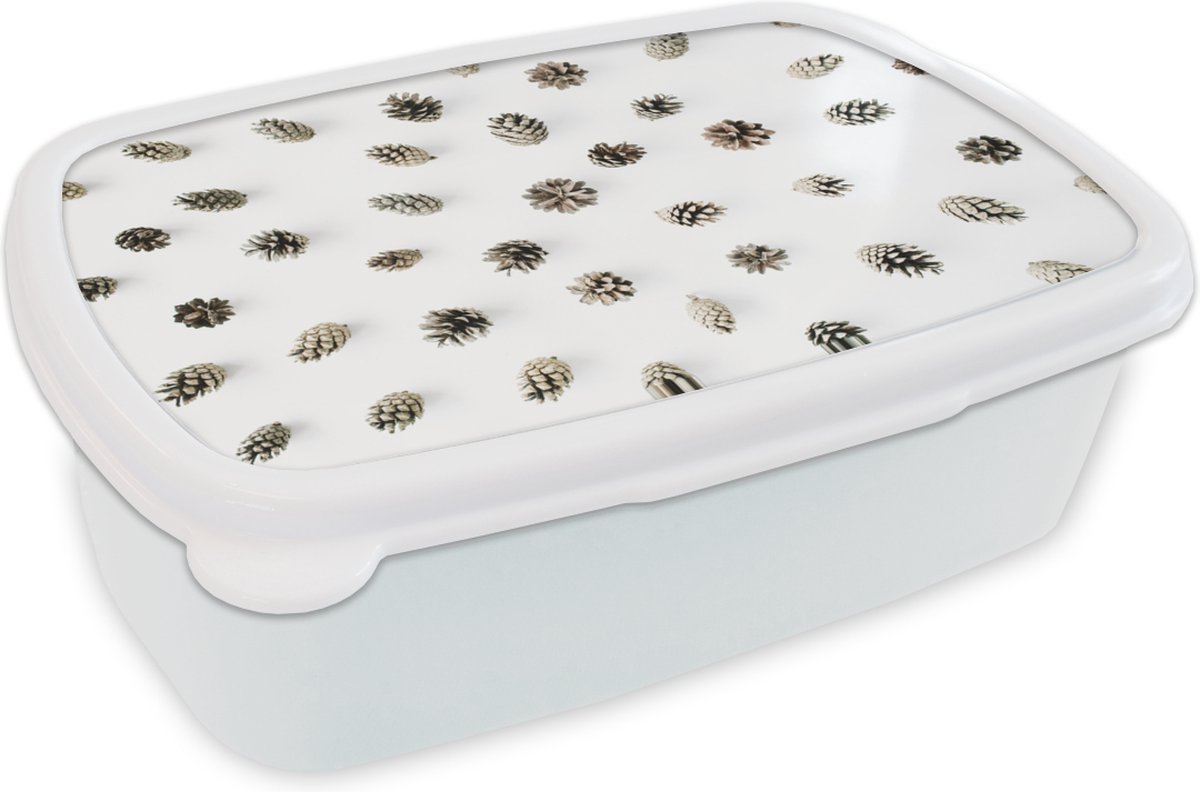 Broodtrommel Wit - Lunchbox - Brooddoos - Winter - Dennenappel - Wit - 18x12x6 cm - Volwassenen