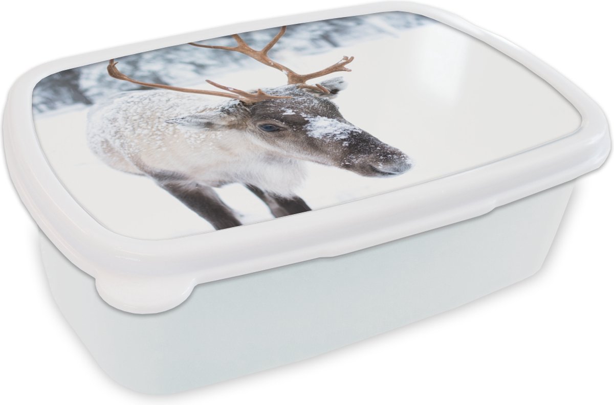 Broodtrommel Wit - Lunchbox - Brooddoos - Hert - Rendier - Sneeuw - 18x12x6 cm - Volwassenen