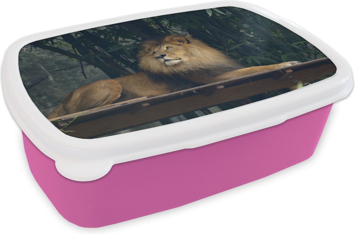 Broodtrommel Roze - Lunchbox - Brooddoos - Leeuw - Bos - Wild - 18x12x6 cm - Kinderen - Meisje