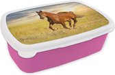 Broodtrommel Roze - Lunchbox Paard - Zon - Gras - Dier - Brooddoos 18x12x6 cm - Brood lunch box - Broodtrommels voor kinderen en volwassenen