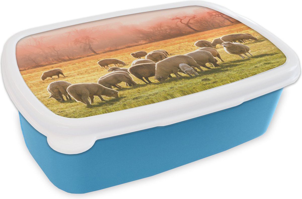 Broodtrommel Blauw - Lunchbox - Brooddoos - Dieren - Schaap - Gras - 18x12x6 cm - Kinderen - Jongen