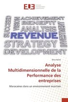 Analyse Multidimensionnelle de la Performance des entreprises