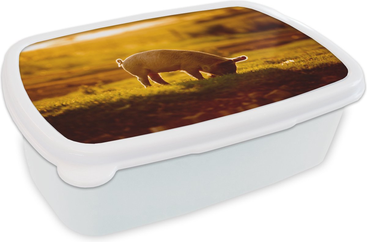 Broodtrommel Wit - Lunchbox - Brooddoos - Varken - Gras - Licht - 18x12x6 cm - Volwassenen