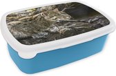 Broodtrommel Blauw - Lunchbox - Brooddoos - Ocelot - Water - Steen - 18x12x6 cm - Kinderen - Jongen