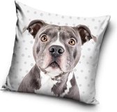 Honden Sierkussens - Kussen - 40 x 40 inclusief vulling - Kussen van Polyester - KledingDroom®