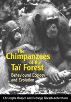 Chimpanzees Of The Tai Forest