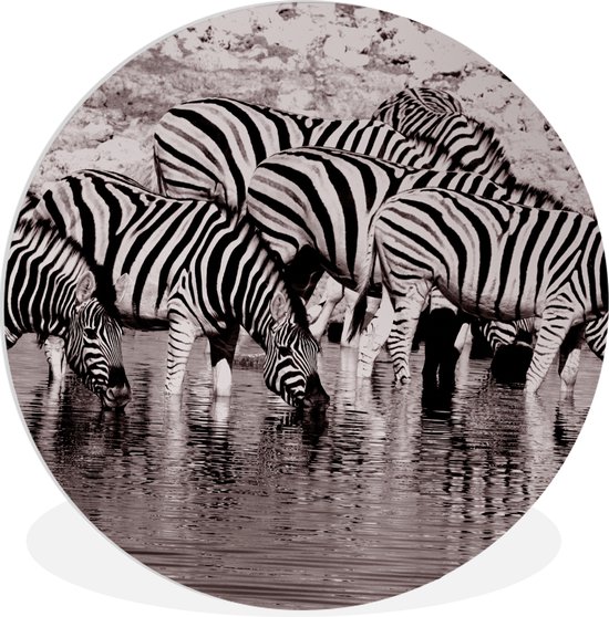 WallCircle - Wandcirkel ⌀ 30 - Zebra's in het water - Ronde schilderijen woonkamer - Wandbord rond - Muurdecoratie cirkel - Kamer decoratie binnen - Wanddecoratie muurcirkel - Woonaccessoires