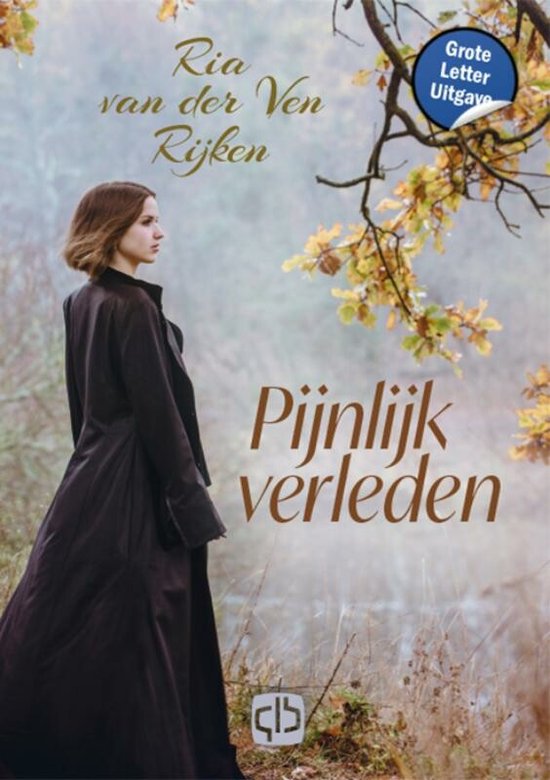 Pijnlijk verleden - cover