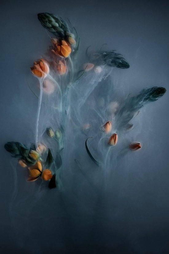 Smoking flowers IV - Fotokunst op Plexiglas - Incl. blind ophangsysteem en 5 jaar garantie