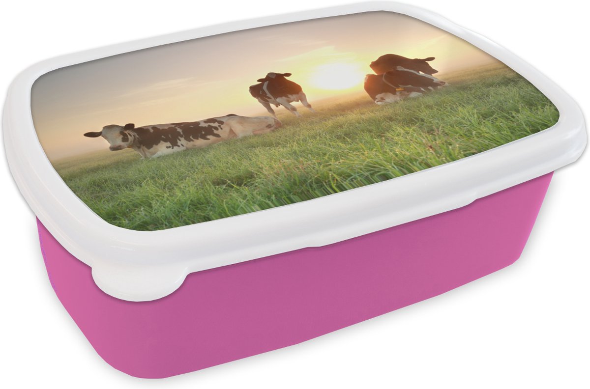Broodtrommel Roze - Lunchbox - Brooddoos - Koe - Zon - Gras - 18x12x6 cm - Kinderen - Meisje