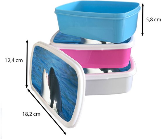 Lunch box Rose - Lunch box - Boîte à pain - Orque à la surface de l'eau - 18x12x6 cm - Enfants - Fille