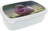 Broodtrommel Wit - Lunchbox - Brooddoos - Slakken - Gras - Lente - 18x12x6 cm - Volwassenen