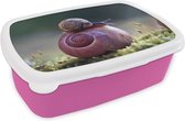 Broodtrommel Roze - Lunchbox - Brooddoos - Slakken - Gras - Lente - 18x12x6 cm - Kinderen - Meisje