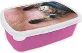 Broodtrommel Roze - Lunchbox - Brooddoos - Slapende kat op een kleed - 18x12x6 cm - Kinderen - Meisje