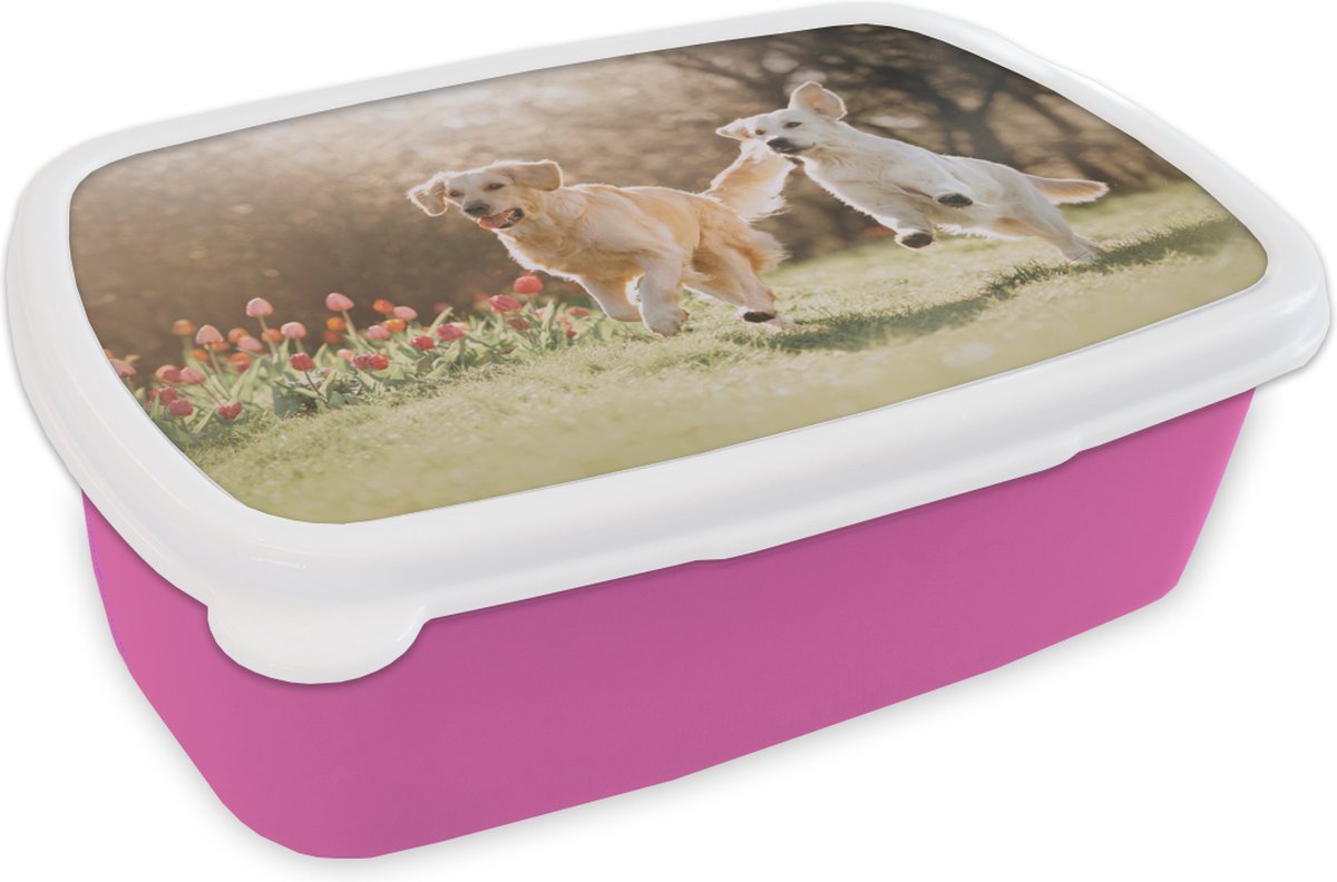 Broodtrommel Roze - Lunchbox - Brooddoos - Honden - Zon - Lente - 18x12x6 cm - Kinderen - Meisje