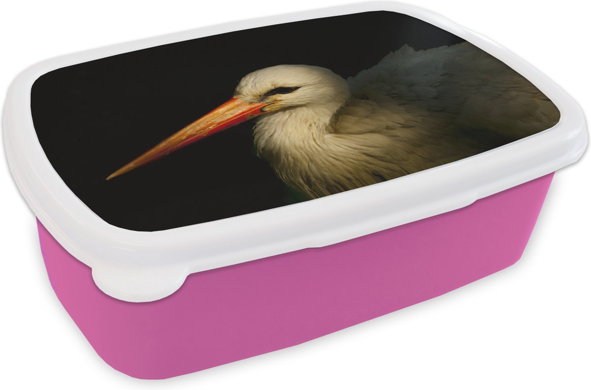 Broodtrommel Roze - Lunchbox - Brooddoos - Vogel - Snavel - Veren - 18x12x6 cm - Kinderen - Meisje