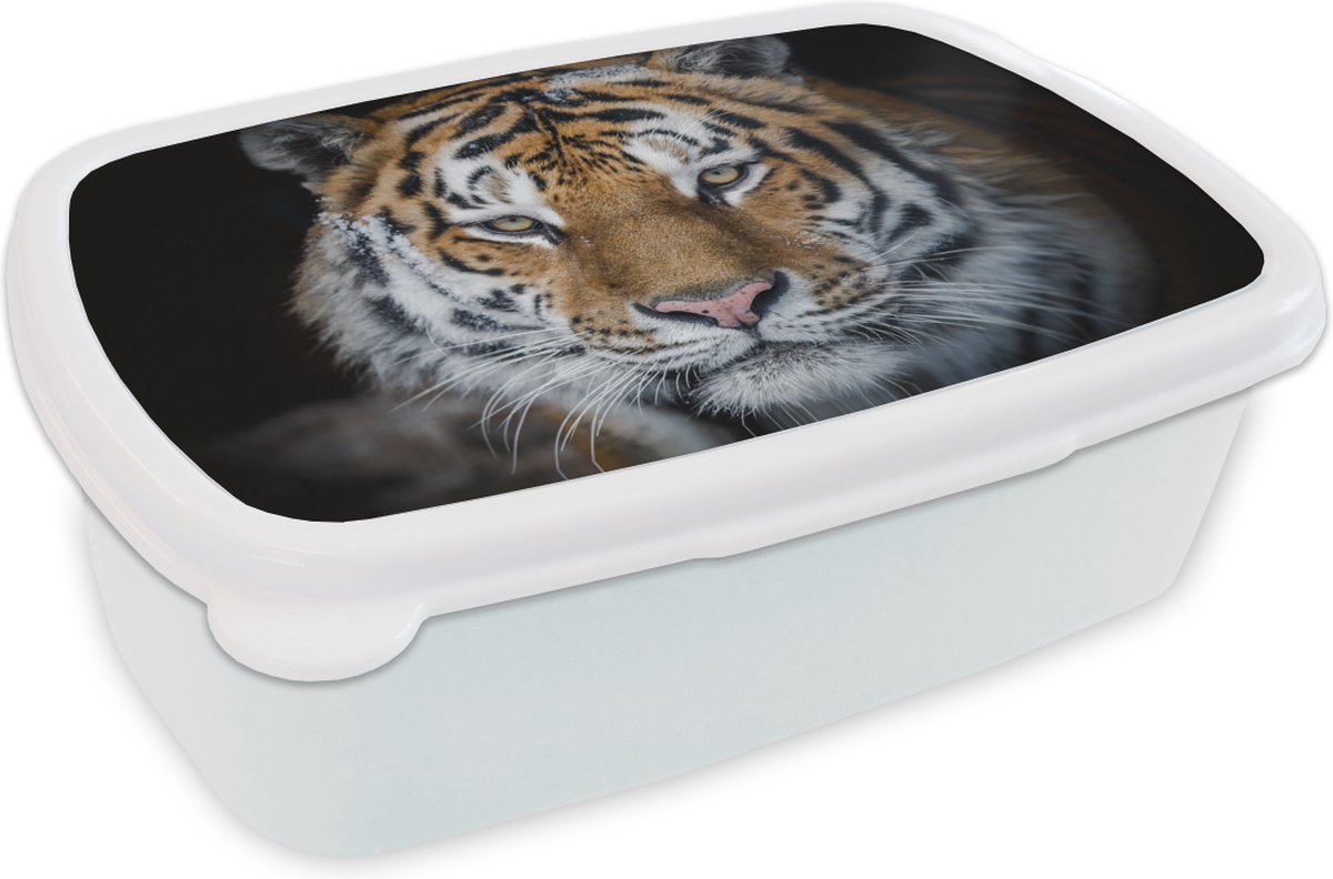 Broodtrommel Wit - Lunchbox - Brooddoos - Tijger - Sneeuw - Zwart - 18x12x6 cm - Volwassenen