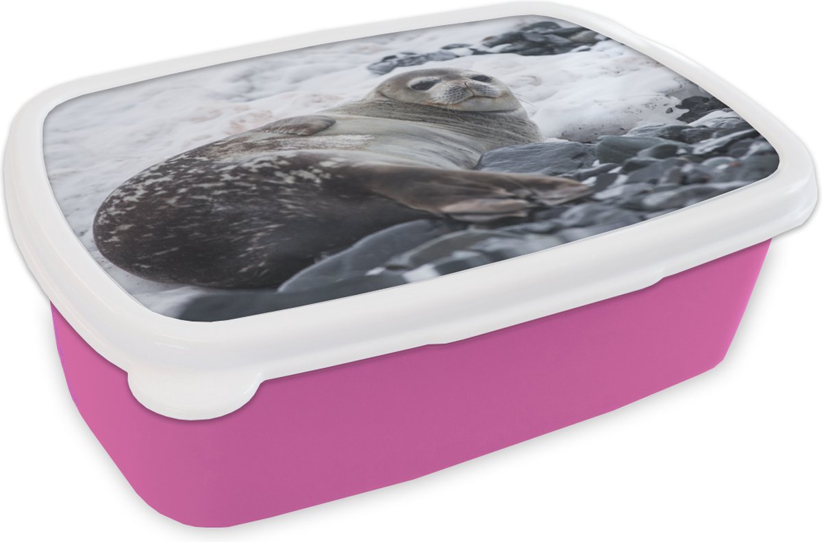 Broodtrommel Roze - Lunchbox - Brooddoos - Zeehond - Sneeuw - Strand - 18x12x6 cm - Kinderen - Meisje