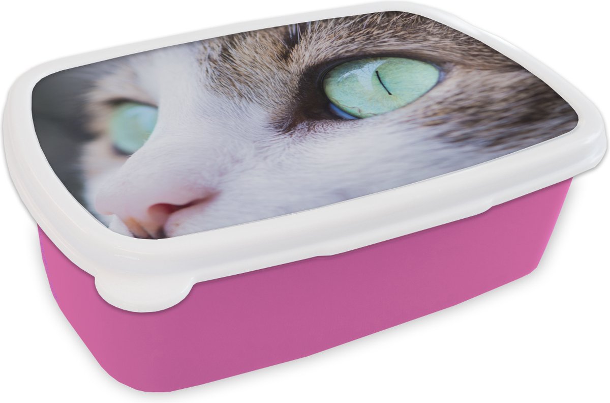 Broodtrommel Roze - Lunchbox - Brooddoos - Kat - Licht - Ogen - 18x12x6 cm - Kinderen - Meisje