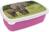 Broodtrommel Roze - Lunchbox - Brooddoos - Olifant - Kalf - Landschap - 18x12x6 cm - Kinderen - Meisje