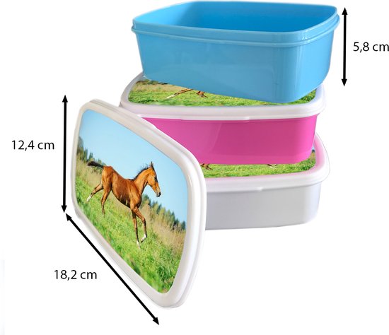 Boîte à lunch Rose - Boîte à lunch - Boîte à lunch - Cheval - Herbe - Marron - 18x12x6 cm - Enfants - Fille - Cadeau Sinterklaas - Distribution de cadeaux pour enfants - Cadeaux chaussures Sinterklaas