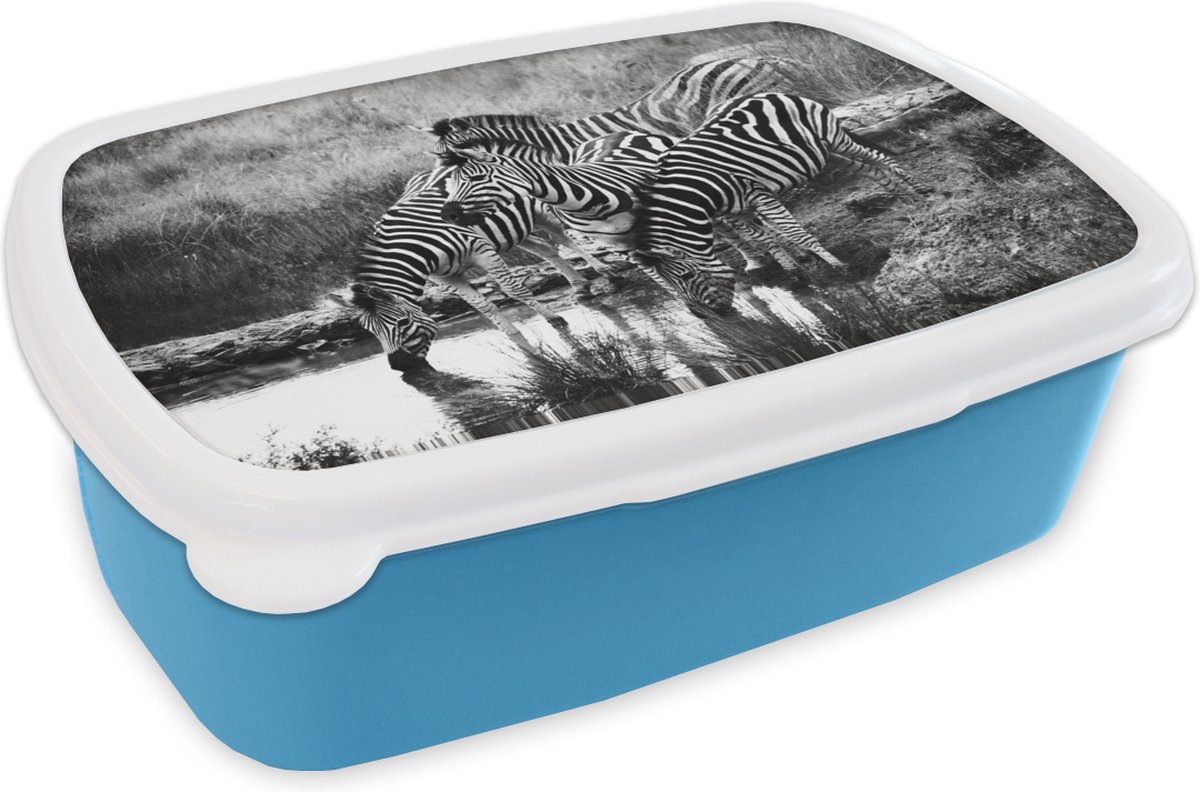 Broodtrommel Blauw - Lunchbox - Brooddoos - Drinkende zebra's - 18x12x6 cm - Kinderen - Jongen