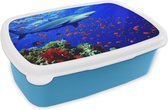 Broodtrommel Blauw - Lunchbox - Brooddoos - Haai bij koraalrif - 18x12x6 cm - Kinderen - Jongen