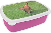 Broodtrommel Roze - Lunchbox Kat - Rood - Kater - Meisjes - Kinderen - Jongens - Kind - Brooddoos 18x12x6 cm - Brood lunch box - Broodtrommels voor kinderen en volwassenen