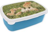 Broodtrommel Blauw - Lunchbox - Brooddoos - Gouden hamster met jongen - 18x12x6 cm - Kinderen - Jongen