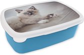 Broodtrommel Blauw - Lunchbox - Brooddoos - Een Ragdoll kitten ligt op de vloer - 18x12x6 cm - Kinderen - Jongen