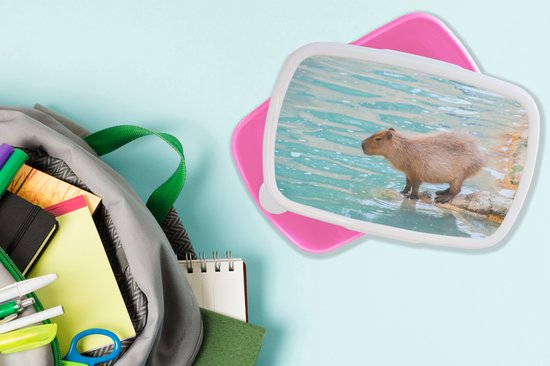 Capybara Lunchtas met cartoon, broodtrommel voor kinderen
