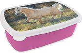 Broodtrommel Roze - Lunchbox - Brooddoos - Paard - Natuur - Bruin - 18x12x6 cm - Kinderen - Meisje