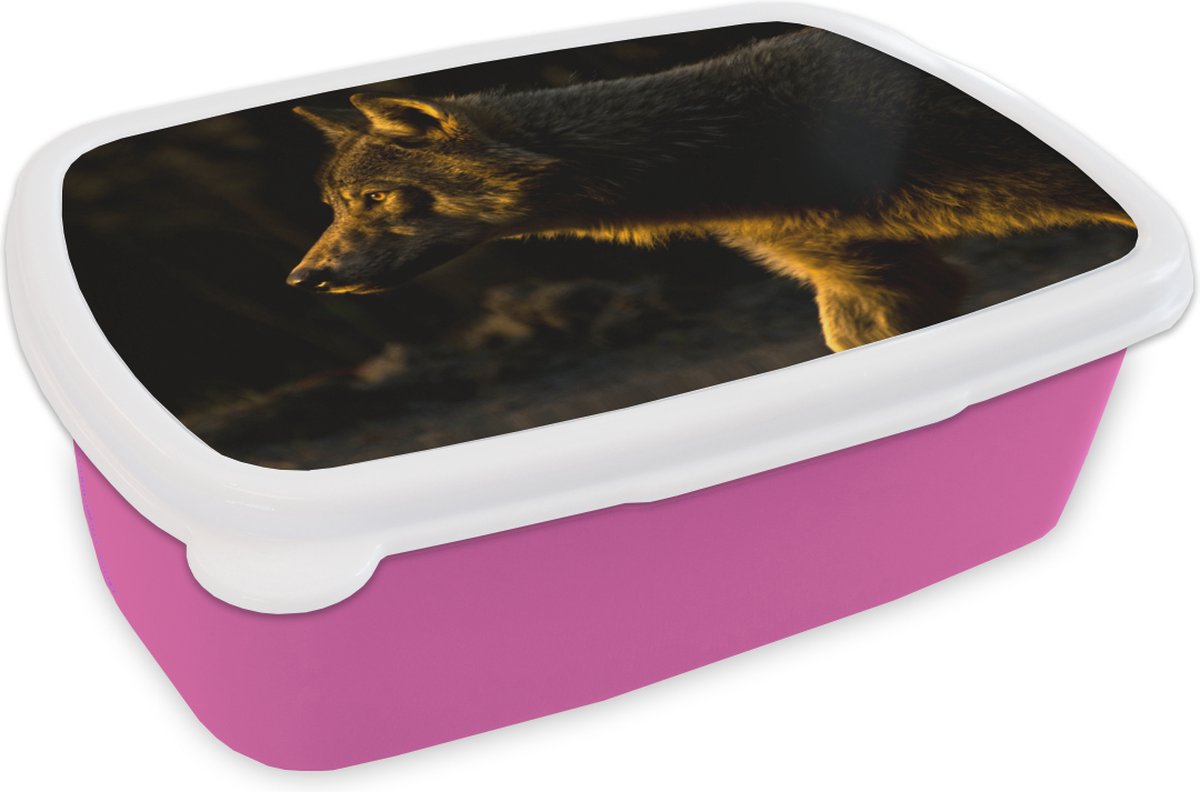 Broodtrommel Roze - Lunchbox - Brooddoos - Wolf - Roofdier - Zon - 18x12x6 cm - Kinderen - Meisje