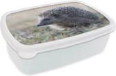 Broodtrommel Wit - Lunchbox - Brooddoos - Egel - Dier - Gras - 18x12x6 cm - Volwassenen