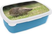 Broodtrommel Blauw - Lunchbox - Brooddoos - Egel - Dieren - Gras - 18x12x6 cm - Kinderen - Jongen