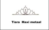 Tiara Strass Maxi metaal - Prinses kroon metaal carnaval Maxima koningin