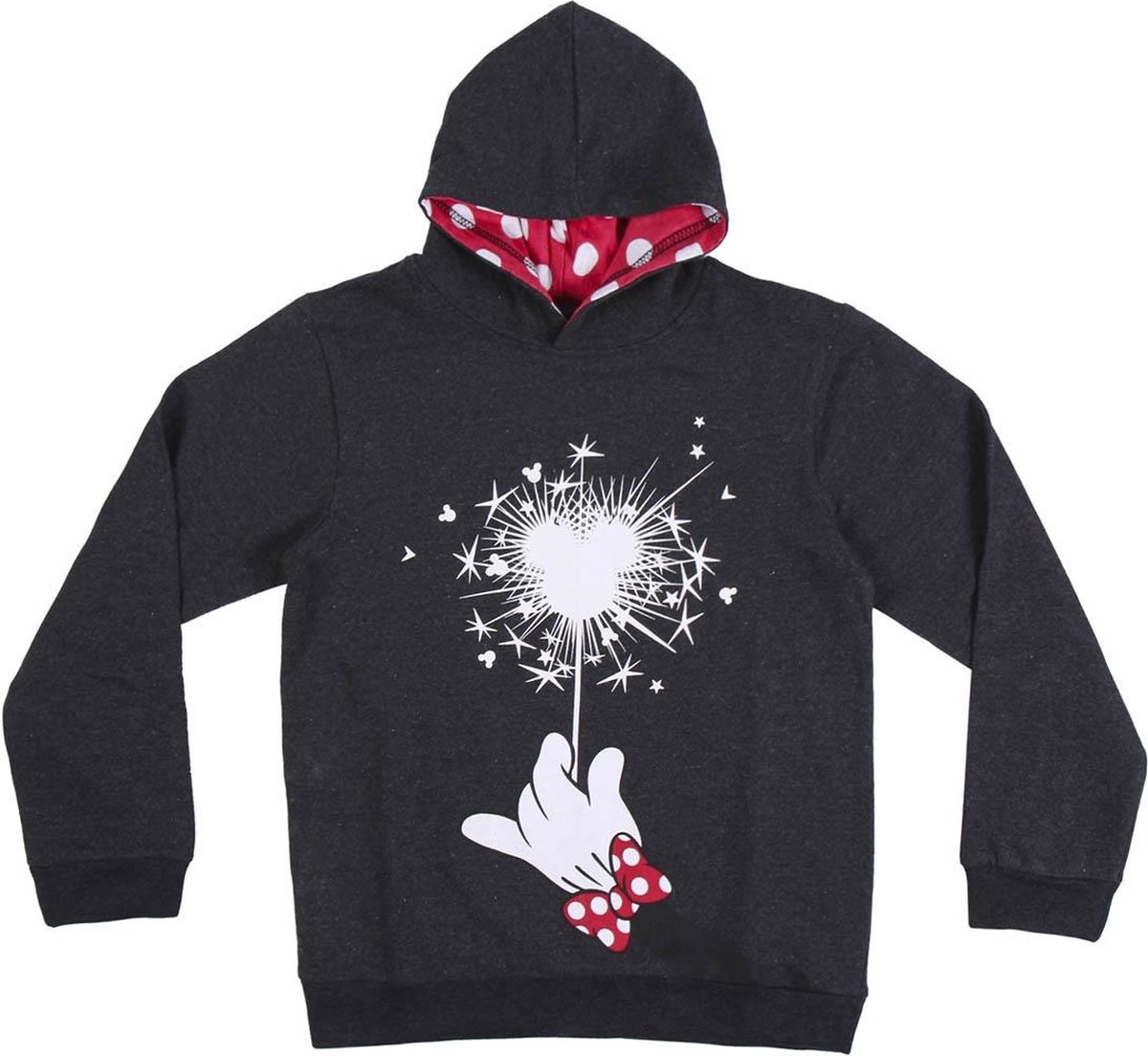 Disney Minnie Mouse Kersttrui kinderen