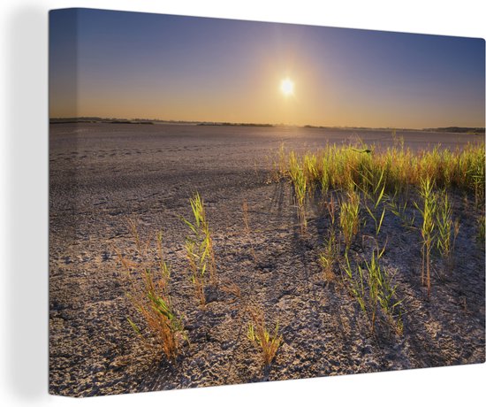 Canvas Schilderij Droge woestijn met plantjes fotoprint - 90x60 cm - Wanddecoratie