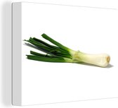 Oignon de printemps se trouve sur un fond blanc Toile 40x30 cm - petit - Tirage photo sur toile (Décoration murale salon / chambre)