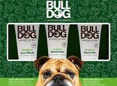 Bulldog Geschenkset Mini Trio