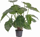 Arrowhead - Syngonium - podophyllum - kunstplant - 20 bladeren - 50 cm - Ø 45cm - in pot