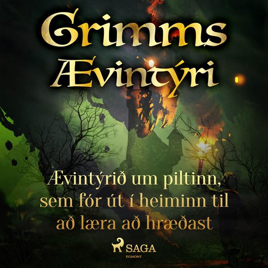 Ævintýrið um piltinn, sem fór út í heiminn til að læ ... - cover