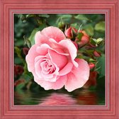 Artibalta Diamond Painting Rose by the Water 25x25 cm  Vierkante Steentjes