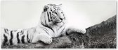 Trend24 - Canvas Schilderij - Kijken Naar Tiger - Schilderijen - Dieren - 120x40x2 cm - Zwart