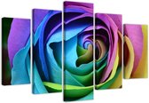 Trend24 - Canvas Schilderij - Kleurrijke Roos - Vijfluik - Bloemen - 200x100x2 cm - Meerkleurig