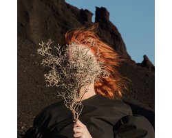 Goldfrapp - Silver Eye (2 LP)