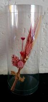 Boeketje droogbloemen in transparante koker 15cm x 6,5cm