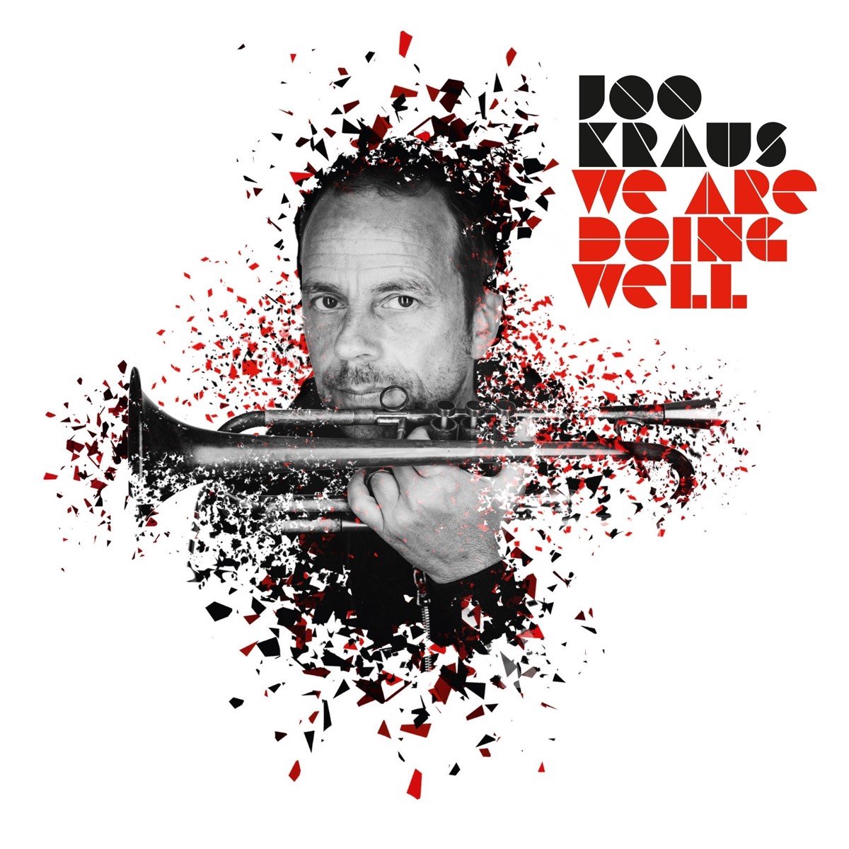 Joo Kraus - We Are Doing Well (CD)